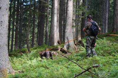 Nachsuche mit geprüftem brauchbaren Jagdhund